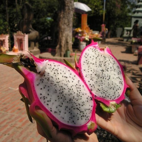 white dragon fruit halves